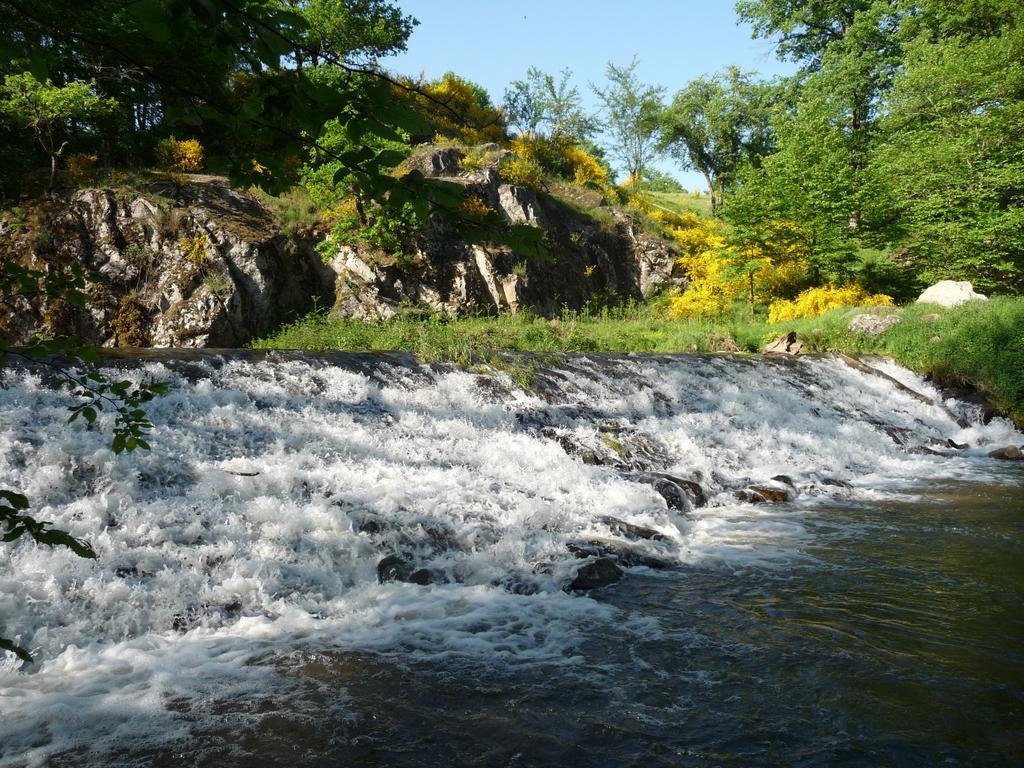 Le Moulin Berthon Bed & Breakfast Vernusse Luaran gambar